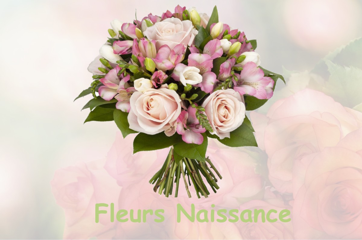 fleurs naissance LUSIGNY-SUR-BARSE